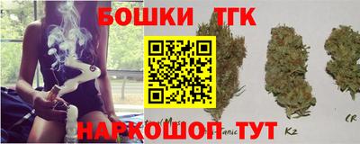 индика Тара