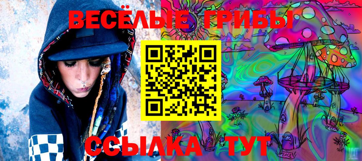 Псилоцибиновые грибы Psilocybe Амурск